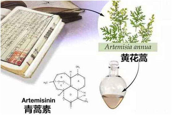 万象城在线：向中医药看齐，与世界共享中医药文化(图1)